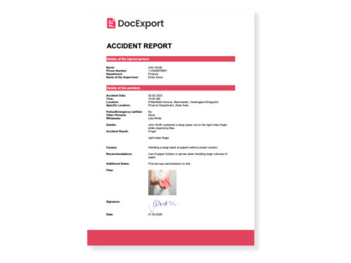 DocExport Accident Report